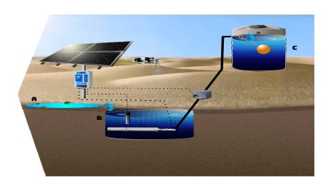 New Project (2)